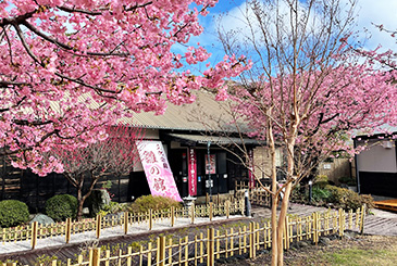 稲取文化公園　雛の館